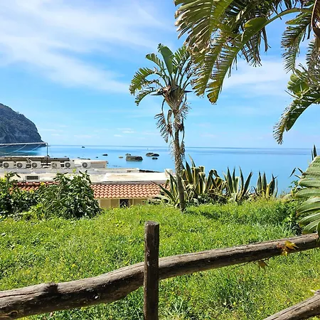 Paco Mare * Ischia